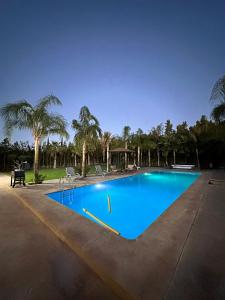 a large blue swimming pool with palm trees in the background at Villa Marrakech, 15 min from center, Disco, Hammam in Marrakesh +41 photos