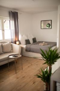 a living room with a bed and a couch at HUGOS Studio Apartment in Wiesloch