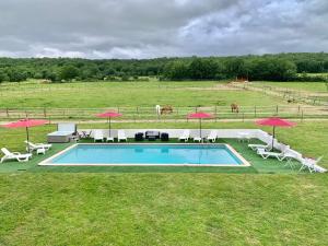 una piscina con sillas, sombrillas y caballos en un campo en Domaine du cheval d’argent, 
