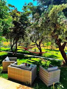 two couches in a park with trees and grass at Savvinio Country Apartment in Alexandroupoli