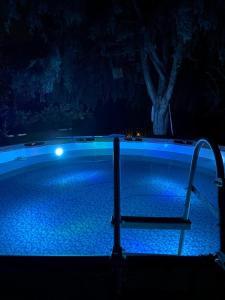 - une piscine avec un arbre en arrière-plan la nuit dans l'établissement Villa Cardui. Casa de diseño con magníficas vistas, à Madrid