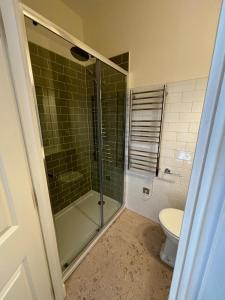 a bathroom with a shower and a toilet at Hootananny in Inverness