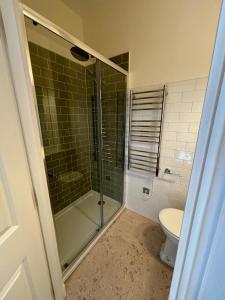 a bathroom with a shower and a toilet at Hootananny in Inverness +26 photos