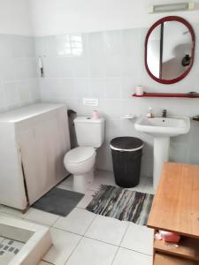 bagno con servizi igienici, lavandino e specchio di Maison de 2 chambres avec vue sur la mer terrasse amenagee et wifi a Petit Bourg a 3 km de la plage a Petit-Bourg