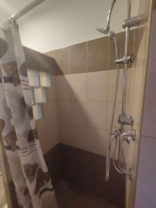 a shower with a shower curtain in a bathroom at Holiday home in Fonyod - Balaton 18592 in Fonyód