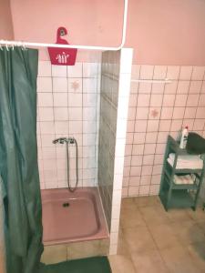 a pink bath tub in a bathroom with a shower at Maison de 2 chambres avec jardin clos et wifi a Riviere Pilote in Rivière-Pilote