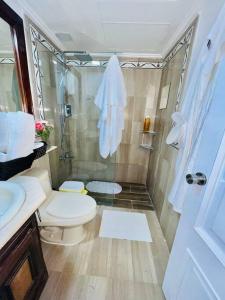 ein Bad mit einer Dusche, einem WC und einem Waschbecken in der Unterkunft Spectacular Condominium between the city and the sea in Santo Domingo