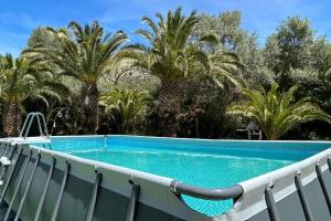 a swimming pool with chairs and palm trees at Cortijo Pulgarín Bajo in Alfarnatejo