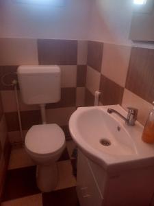 a bathroom with a white toilet and a sink at Narcise kulcsoshaz in Joseni