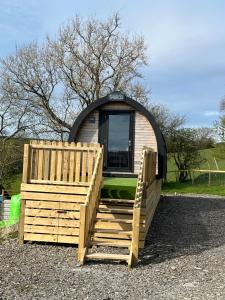 兰鲁斯特Carmel Pod的带木坡道和窗户的小木屋