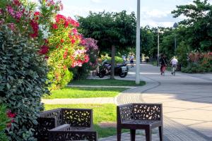 Zahrada ubytování Hotel Ariella