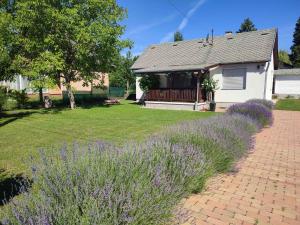 A garden outside Holiday home in Balatonfenyves 27939