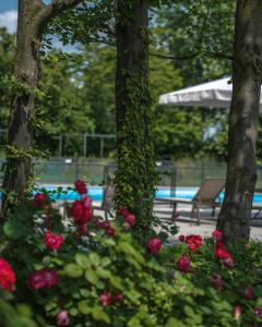 un gruppo di fiori di fronte a una piscina di Alle Siepi a Reggio Emilia