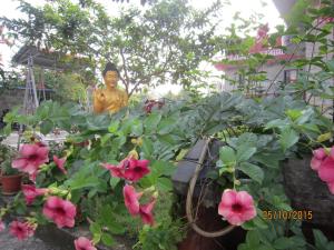 Taman di luar New Annapurna Guest House