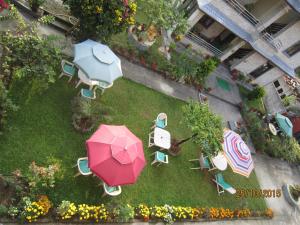 Taman di luar New Annapurna Guest House