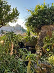 un giardino con piante e alberi e un edificio di Il giardino dei sogni a Gaeta