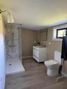 a bathroom with a shower and a toilet and a sink at Luz&Martins Alojamento in Paredes
