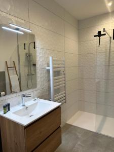 a bathroom with a sink and a shower at Appartement de la gare in Remiremont +17 photos