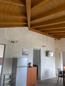 a kitchen with a refrigerator and a wooden ceiling at Hamre Apartments (Nicholas) in Agios Georgios Pagon
