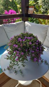 una pentola di fiori viola su un tavolo bianco di VILLA VILLACOLLE a Procchio