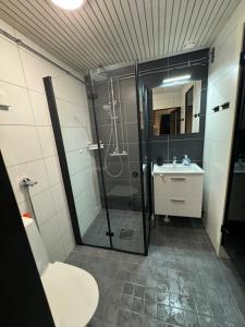 Koupelna v ubytování Syöte Huuhkamajat Cottage + 34 fotografií