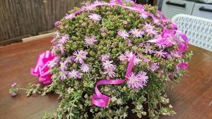 un bolso rosa sentado en una mesa con flores en VILLA VILLACOLLE, en Procchio