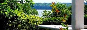 a view of a lake from a balcony with trees at Moorfrosch in Userin