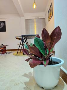 Gallery image of Fly Africa Village in Arusha