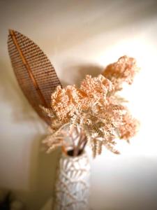 Gallery image of Logement Le Pélican Sous le Vent in Sainte-Rose