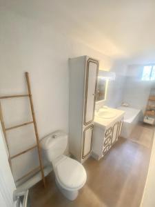 a bathroom with a toilet and a sink and a mirror at Maison de 2 chambres a Marseille a 200 m de la plage avec vue sur la mer jardin clos et wifi in Marseille