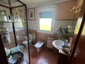 un bagno con wc, lavandino e doccia di Casa As Bateas a Sada Altre 13 foto