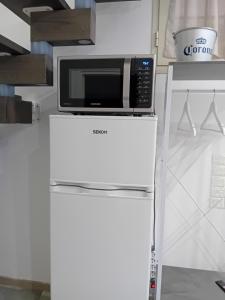 パレルモにあるCasa Mauroのキッチンの冷蔵庫の上にある電子レンジ