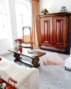 巴特尚道的住宿－One bedroom apartement with wifi at Bad Schandau，带沙发和咖啡桌的客厅
