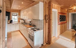 FolkestadにあるFeriehus-Bjørkedalの白い家電製品と木製の壁が備わるキッチン