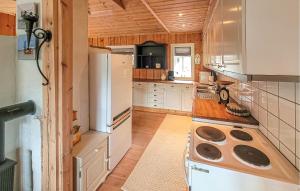 FolkestadにあるFeriehus-Bjørkedalのキッチン(白い冷蔵庫、コンロ付)