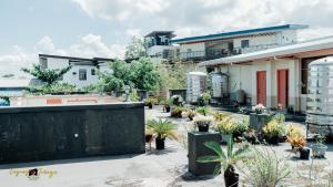 a garden in front of a house with plants at Imperial Ridge Pension House in Tagbilaran City