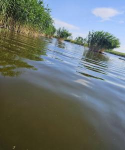 a large body of water with trees in the distance at Casa Anastasia in Murighiol