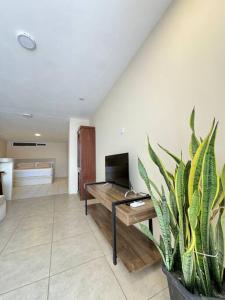 a living room with a table and a potted plant at Suite en zona exclusiva in Manta