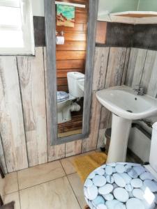 een badkamer met een toilet en een wastafel bij Studio avec jardin et wifi a La Possession in La Possession
