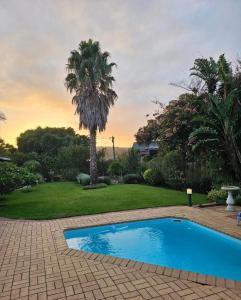 a swimming pool in a yard with a palm tree at 113 on Robberg in Plettenberg Bay