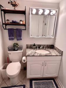 a bathroom with a toilet and a sink and a mirror at Spacious Retreat Close to Nature in Bloomingdale