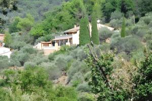 CallasにあるVilla de 3 chambres avec vue sur la ville piscine privee et jardin clos a Callasの木々の森の中の家