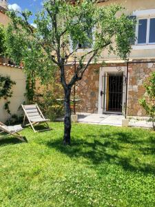 a tree in the yard of a house at Villa de 2 chambres avec piscine privee jardin clos et wifi a Saint Jeannet in Saint-Jeannet