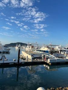 Ảnh trong thư viện ảnh của 2 bedroom beachside villa ở San José