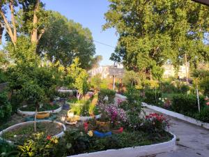 a garden with lots of flowers and plants at Vlora House in Vlorë