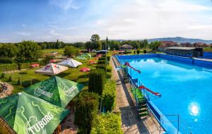 an overhead view of a large swimming pool with umbrellas at Pensiunea La Broscuta in Cîmpia Turzii