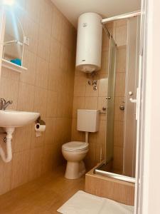 a bathroom with a toilet and a sink and a shower at Zlatarska kruna in Nova Varoš +24 photos