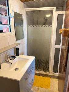 Koupelna v ubytování La Bananeraie Apt 35m2 piscine jardin tropical parking privé
