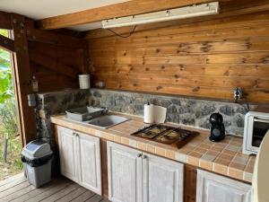 Kuchyň nebo kuchyňský kout v ubytování La Bananeraie Apt 35m2 piscine jardin tropical parking privé