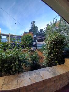 a view of a garden with bushes and trees at Be-Bu-Mar Apartments in Sveti Filip i Jakov